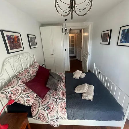 Royal Oak - 3bd 2ba With Parking And River View * 크라쿠프